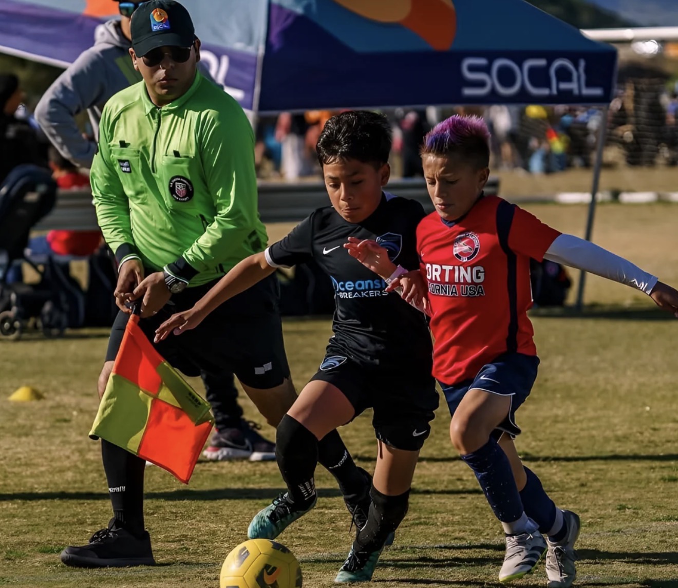 Soccer referee on a field